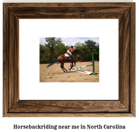 horseback riding North Carolina